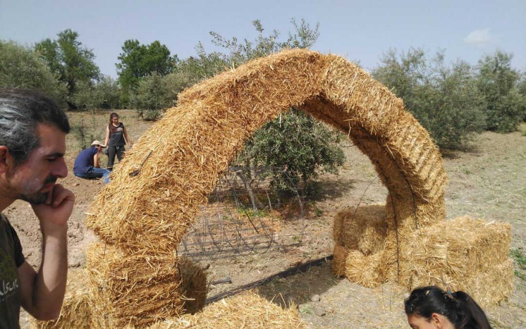 Haciendo Bioconstrucción