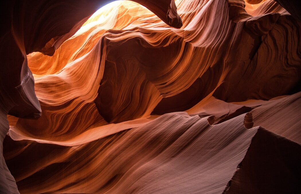 Arquitectura y tierra